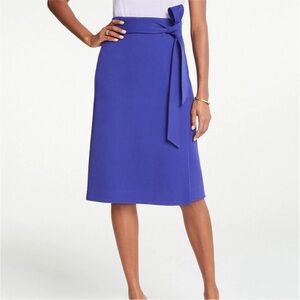 Ann Taylor A-Line Skirt
